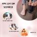 Toe Separators and Straighteners for Men and Women - Bunion Correction, Hammertoes, Plantar Fasciitis - Large Size White (1 Pair) - Buy Online on GoSupps.com