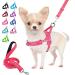 Eyein no-pull dog harness with leash dishes with soft padded reflective adjustable breast dishes for puppies small dogs large dogs pets cats (pink XXS) pink XXS