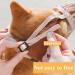 AidShunn Breathable Rubber Dog Muzzle for Small Puppy - Prevent Biting, Barking, Chewing & Licking - Adjustable Mouth Cover - Buy Online on GoSupps.com