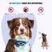 Anti Bark Collars For Dogs Dog Bark Collar With Vibration & Variable Beep Modes For Small Medium Large Dogs Rechargeable IP67 Waterproof Humane Stop Barking Blue - Buy Online on GoSupps.com