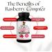 Natural Fat Burner & Appetite Suppressant - 8 Ingredient Complex with Raspberry Ketones - Keto Energy Boost - Weight Loss Diet Pills for Men and Women (1 Month Supply) - Buy Online on GoSupps.com