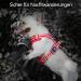 Reflective POPRET Dog Harness - No Choke Adjustable Soft Padded Vest for Large Dogs - Durable Control Handle - Perfect for International Shipping - Buy Online on GoSupps.com