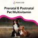 Breeder s Edge Breed to Wean Prenatal and Postnatal Multivitamin for Dogs & Cats Supports Pregnant & Nursing Moms Supplement Provides Antioxidants Vitamins & Minerals 100ct for Medium & Large Dogs 100ct Medium & Large Dog - Buy Online on GoSupps.com