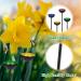Lineshading 4 Pcs Bee Watering Station Butterfly Bee Water Catcher Cups Small Insects Bee Feeders for Outside Feeding and Watering Bees Colorful Metal Garden Stakes Garden Sculpture Decor 4 Colors - Buy Online on GoSupps.com