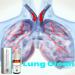 2 PCS - Cleansing Spray Breath Easy -Herbal Lung Cleansing Spray mullein leaf extract for lungs 1 Count (Pack of 2) - Buy Online on GoSupps.com