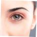 Ipetboom 6 Pcs 3d Eyebrow Stickers Cosmetology Kit Eye Brow Shaping Kit Artificial Eyebrow Women's Model Head ze001x3pcs Blackx3pcs - Buy Online on GoSupps.com