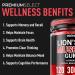 Lions Mane Gummies Sugar Free 120 Gummies for Clarity & Brain Nutrition Support - Lion's Mane Mushroom 3000mg with Ashwagandha & L-Theanine Brain & Mood Supplement Focus Memory Calm - Buy Online on GoSupps.com