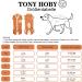 Tony Hoby Shirts for Dogs | Soft & Breathable Dog Suit - Striped T-Shirt for Small to Large Dogs (XL Orange) - Buy Online on GoSupps.com