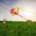 Dragon Kite for Kids and Adults - Easy-to-Fly Delta Beach Kite with 300ft String - Fiery Colors - Buy Online on GoSupps.com