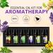 Fresh Essential Oils Set - 6x10ml Aromatherapy Gift Kit for Diffusers & Humidifiers - Tea Tree Lavender Peppermint & More - Buy Online on GoSupps.com
