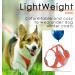 ThinkPet No-Pull Dog Harness & Leash Set - Breathable Adjustable Safe Control for Small Medium & Large Dogs - Reflective Padded Orange (1 Pack) - Buy Online on GoSupps.com