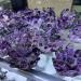 Natural Crystal Rough Specimen 300-400g Natural Purple Ghost Phantom Quartz Crystal Cluster Rock Stones and Crystals ReikiSpecimen HomeStone (Size : 300-400g) - Buy Online on GoSupps.com