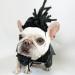 Funny Dog & Cat Role Play Wigs | Halloween Christmas & Party Costumes for All Pet Sizes - Buy Online on GoSupps.com