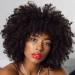 Queentas curls wigs real hair women short afro wig black short hair wig real hair for women with pony for cosplay carnival party natural spiral curls