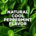 Tom's of Maine Natural Wicked Fresh Fluoride Toothpaste Cool Peppermint 4.70 oz (Pack of 4) - Buy Now for Fresh Breath! - Buy Online on GoSupps.com