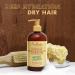 Shea Moisture Conditioner - Sulfate-Free Manuka Honey & Mafura Oil for Dry Damaged Hair | Curly Hair Care - 13 Fl Oz (Pack of 2 - Buy Online on GoSupps.com