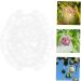 Gogogmee Shaped Fruit Shaper Reusable Forming Novel Shaping Ginseng Vegetable - Buy Online on GoSupps.com