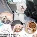 Buy NAMALU 4 Waterproof Guinea Pig Fleece Ceiling Inserts | Absorbent Reusable Pipi Pads for Small Dogs & Guinea Pigs | Star Pattern (30 x 30 cm) - Buy Online on GoSupps.com