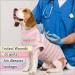 Premium Dog Recovery Suit for Post-Op Protection - Pumyporeity Leak-Proof Medical Shirt for Dogs (Pink Stripes M) - Buy Online on GoSupps.com