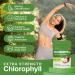Lifebooil Chlorophyll Powder, 120mg Clorofila for Drinking Supports Alkalization, Gut Health & Clean Energy 30 Servings (Crisp Apple) - Buy Online on GoSupps.com