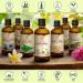 Chamomile Oil 100ml - Natural Chamomilla Oil for Face Nails Hands & Hair | Massage & Personal Care - Buy Online on GoSupps.com