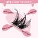 Cluster Lashes 72 Pcs Lash Clusters 2 in 1 DIY Eyelash Extension Individual Cluster Eyelashes Juliet Style Self-Application Fluffy Super Thin Band Reusable Soft & Comfortable(Juliet-D-10-16mix) 10-16 mix Juliet - Buy Online on GoSupps.com