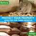 Peppermint Oil Rodent Repellent Balls - 8-Pack for Mouse and Rat Repellent Indoors & Outdoors - Buy Online on GoSupps.com