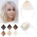 SEGO Clip in Air Bangs 3g Wispy Bangs One Piece 100% Remy Human Hair Front Fringe Bangs Hairpiece Neat Air Bangs with Temples for Women-Platinum Blonde Air bangs(3g) A-Platinum Blonde