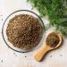 Dill seeds (500g) 100% natural dill seeds cucumber no additives vegan - Buy Online on GoSupps.com