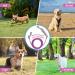 Mi Metty Tie Out Linen for Dogs - 15ft Shock-Damping Leash for Medium to Large Dogs | Durable Pet Leash for Courtyards - Buy Online on GoSupps.com
