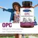 Ayursana Natural OPC Grape Seed Extract from France | 120 Capsules | 520 mg Pure OPC | Pharmacy Quality Supplements - Buy Online on GoSupps.com