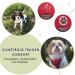 Buy Slowton Dog Harness with Safety Belt for Cars - Breathable Dog Seat Belt with 2 Carabiner Hooks | Red Small - International Shipping Available - Buy Online on GoSupps.com