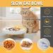 Tanoshimi Ceramic Slow Feeder Cat Bowl | Wooden Bracket & Silicone Mat | Prevent Bloat & Indigestion | Slow Eating for Pets - Buy Online on GoSupps.com