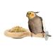 New bird bench with bird feed cup bird stand for cage solid bird cage Accessories for parrots bird punch for parasi