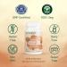 Vitamin B12 1000 mcg + Folic Acid 500 mcg | 1500 mcg Supplement for Energy & Brain Support | Reduce Fatigue | Immune System Booster - 60 Capsules - Buy Online on GoSupps.com