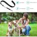 Adjustable Dog Whistle Set - Stop Neighbor's Barking & Train Your Dog - 2 Pieces with Lanyard | Professional Ultrasound Recall Training - Buy Online on GoSupps.com