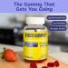 Wellio Fiber Gummies for Adults Sugar Free Prebiotic Fiber Supplement with FOS GLP-1 & Digestive Support 5g Natural Fiber per Serving Non-Stick Fruit Flavor 60 Count Made in USA - Buy Online on GoSupps.com