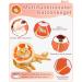 Supet Rewriter Cat Adjustable Hen Collar - Post-Surgery Recovery Cone (Grapefruit) | Comfortable Healing Solution for Cats (Neck: 14-23cm) - Buy Online on GoSupps.com