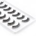 Emeda 3D Cat Wing False Eyelashes - Soft & Fluffy 10 Pairs of Natural Black Stripes Lashes (SK 17) | International Shipping Available - Buy Online on GoSupps.com