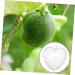 OKUMEYR Heart Shaped Watermelon Molds Gardening Fruit Molds Vegetable Forming Mold Stereotypes Shaper - Buy Online on GoSupps.com
