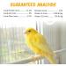 Vitakraft Canary Egg Sticks 1.4 oz - Nutritious Treat for Canaries - Buy Online on GoSupps.com