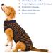 Kuoser Dog Body After Surgery - Breathable Post-Op Suit for Male & Female Dogs Leakage Protection Anti-Licking Brown XS (1 Pack) - Buy Online on GoSupps.com
