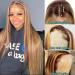 Vero Beauty 20 Inch Ombre Honey Blonde Lace Front Wig, Colored 4/27 Human Hair, Pre Plucked 13x4 Highlight Straight Wig - 180% Density HD Lace Frontal Wig - Buy Online on GoSupps.com