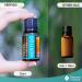 Nature's Fusions Vertigo Relief & Ginger Oil Nausea Essential Oil Blend (15ml) - Fast-Acting Motion Sickness, Morning Sickness, Dizziness & Vertigo Medicine with Peppermint - 100% Natural Relief - Buy Online on GoSupps.com