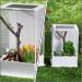 Balacoo Magnetic Acrylic Reptile Breeding Box Terrarium Cage for Various Pets - Buy Online on GoSupps.com