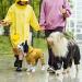 Buy Waterproof Dog Raincoat Adjustable Puppy Rain Jacket with Hood Reflective & Perfect for Small Dogs - Buy Online on GoSupps.com