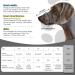BONTHEE Dog Muzzle Mesh Soft Muzzle for Small Medium Large Sized Dogs Breathable Reflective Adjustable Puppy Muzzles with Collar for Scavenging Grooming Biting Chewing Allows Panting and Drinking XXL - Buy Online on GoSupps.com