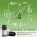 ASAKUKI Rosemary Essential Oil - 100% Natural Therapeutic Grade for Hair, Skin, Nails - Aromatherapy Diffuser Oil - Buy Online on GoSupps.com