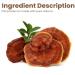 Lingzhii Anti-Wrinkle Rejuvenating Water Ganoderma Serum Face Essence for Hydration Women Anti-aging Firming Skin Moisturizing Improve Dull for All Skin Types (1) - Buy Online on GoSupps.com
