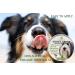 100% Natural Dog Nose and Paw Balm - A Soothing Nose Balm for Dogs to Heal Dry Crusty and Chapped Noses and Paw balm for Dry and Cracked Paws - Easy to apply Dog Nose and Paw Cream - Buy Online on GoSupps.com